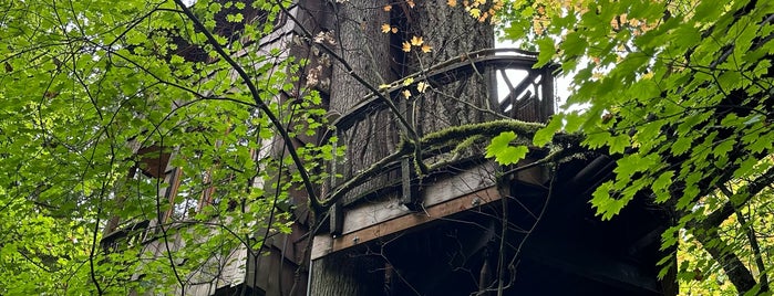 Treehouse Point is one of Special Accommodation Experiences in Washington.