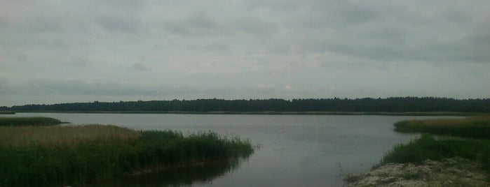 Vööla meri is one of Lugares favoritos de Diana.
