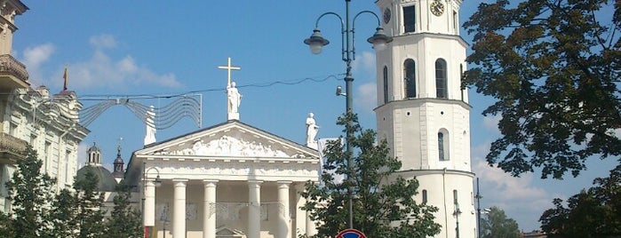 Cathedral Basilica of St Stanislaus and St Vladislav is one of Vilnius, Lietuvos Respublika.