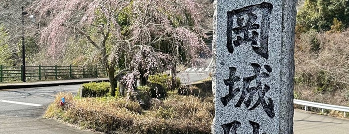 岡城跡 is one of まだ行っていない日本の城.