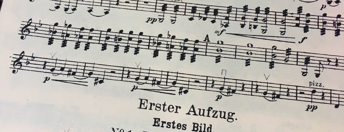 Florida Grand Opera is one of สถานที่ที่ Aristides ถูกใจ.