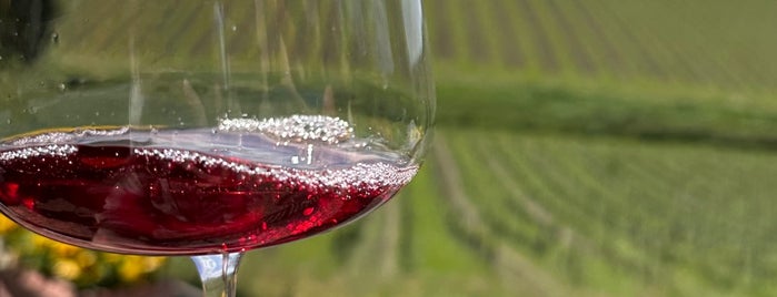 Tenuta di Poggio Casciano - Ruffino is one of Toscana vin 2016.