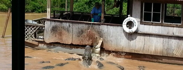 Bayou Pierre Alligator Park is one of Zoos and Aquariums -TX, OK,AR, & LA.