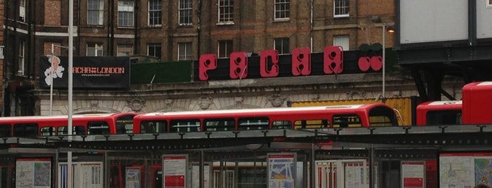 Pacha London is one of london party life.