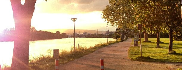 Rheinwiesen Mainz-Kastel is one of Lugares favoritos de Annette.