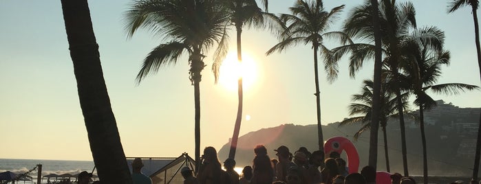 Festival Trópico Acapulco 2016 is one of Tempat yang Disukai Martin.