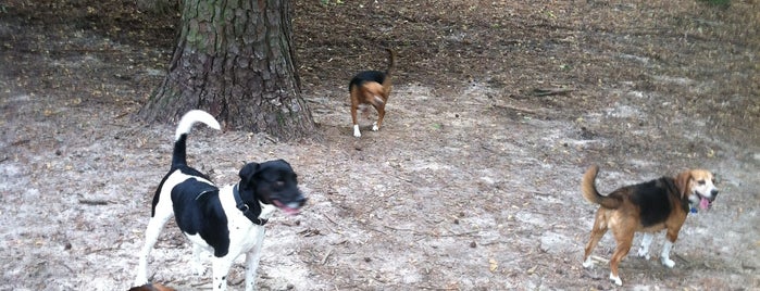 Carolina Pines Dog Park is one of favorites.