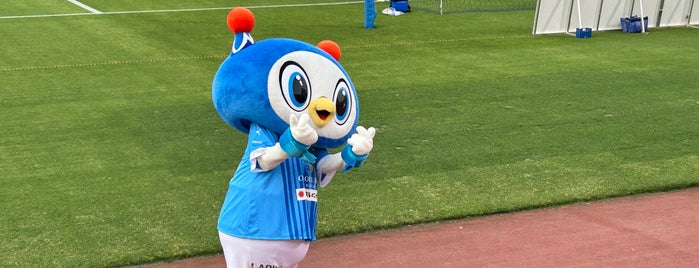 NHK Spring Mitsuzawa Football Stadium is one of スタジアム.