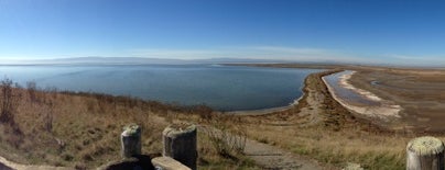 Coyote Hills Regional Park is one of (South) Bay Places.