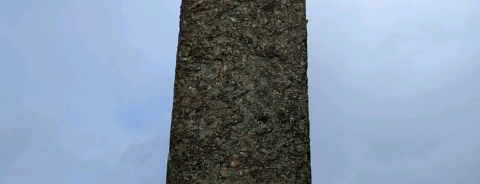 Standing Stones of Stenness is one of Lieux qui ont plu à Carl.