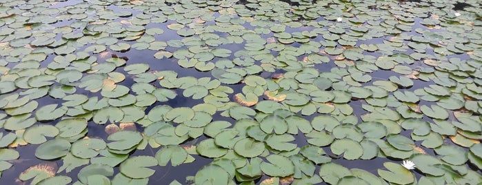 Long Key Nature Center is one of Andre : понравившиеся места.