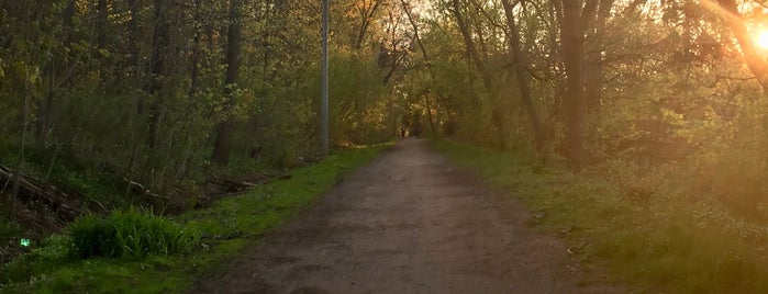 Chedoke Radial Trail @ Dundurn St is one of Outdoors.