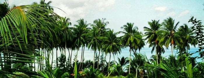 Andaman & Nicobar Islands is one of Summer 2014 Sri Lanka/Sumatra/Andamans/Johor.