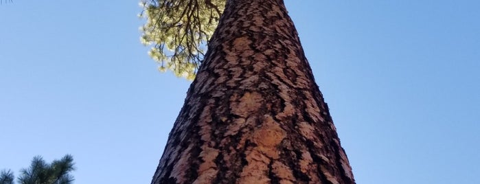 Malheur National Forest is one of National Recreation Areas.