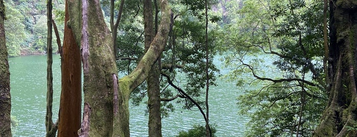 Lagoa do Congro is one of ❤️ Açores.