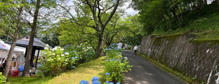 土合舘公園 is one of レジャー・アウトドア.