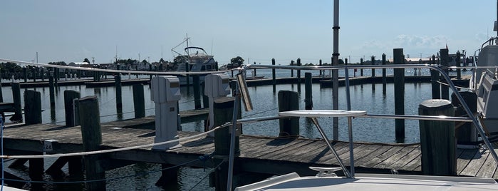 Somers Cove Marina is one of Maryland Green Travel Marinas.