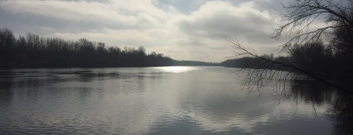 White Pine Trail is one of Parks/Outdoor Spaces in GR.