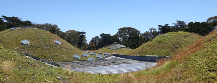 The Living Roof is one of San Francisco 2013.