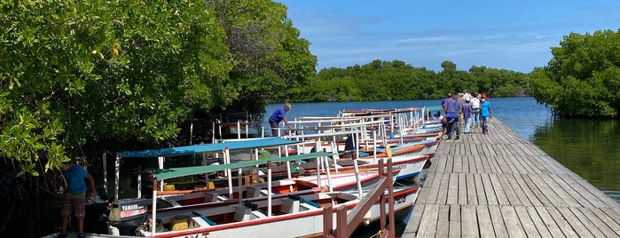 Laguna de La Restinga is one of Margarita 2013.