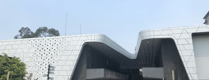 Jardín De La Cineteca is one of Para el fin.