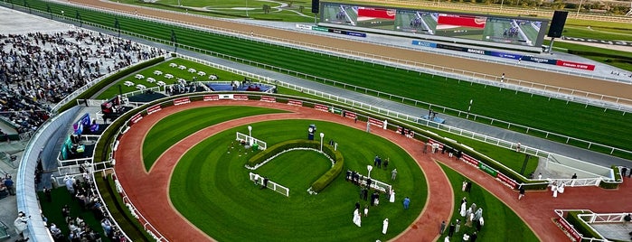 Meydan Racecourse is one of Horse Racing Around the World.