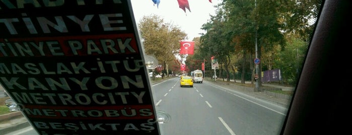Beşiktaş Minibüs Durakları is one of All-time favorites in Turkey.