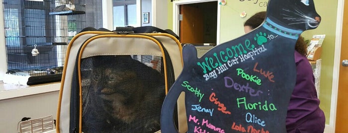 Bay Hill Cat Hospital is one of Lugares favoritos de Rozanne.