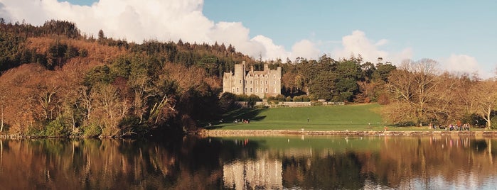 Castlewellan Forest Park is one of Places I have slept.