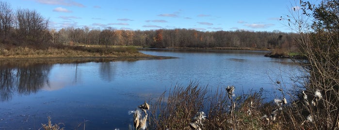 Spencer Lake Wilderness Area is one of parks & such!.