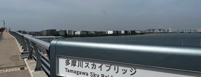 Tamagawa Sky Bridge is one of 東京.