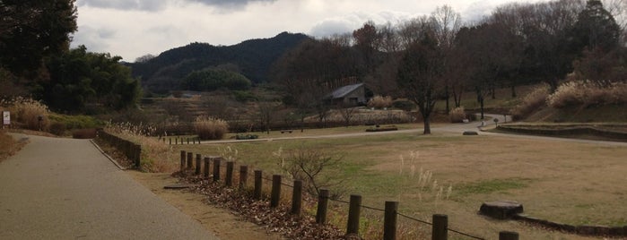 国営飛鳥歴史公園館 is one of 奈良県内のミュージアム / Museums in Nara.