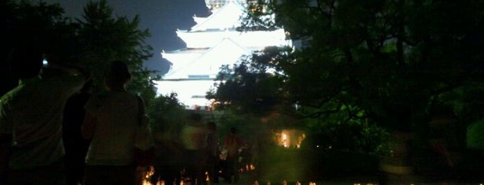 Osaka Castle Park is one of 阿倍野界隈の避難場所.