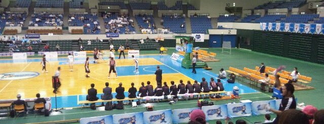 Dolphins Arena is one of B.League Home Arena.