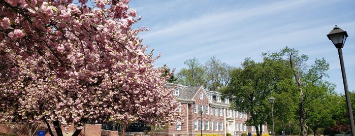 TCNJ - Bliss Hall is one of TCNJ most common visits.