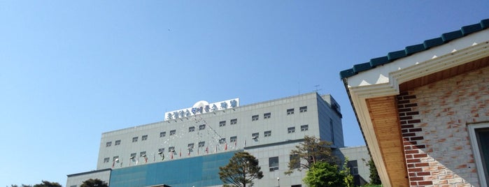 초정세종스파텔 is one of สถานที่ที่ hyun jeong ถูกใจ.
