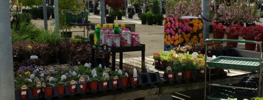 Petitti Garden Center is one of trish’s Liked Places.