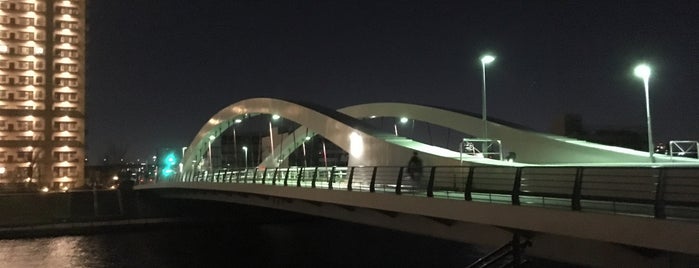 新豊橋 is one of 隅田川の橋.