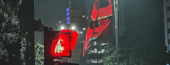 Avenida Paulista is one of sao paulo.