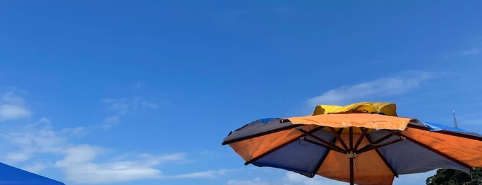 Praia do Itararé is one of Guide to São Vicente's best spots.