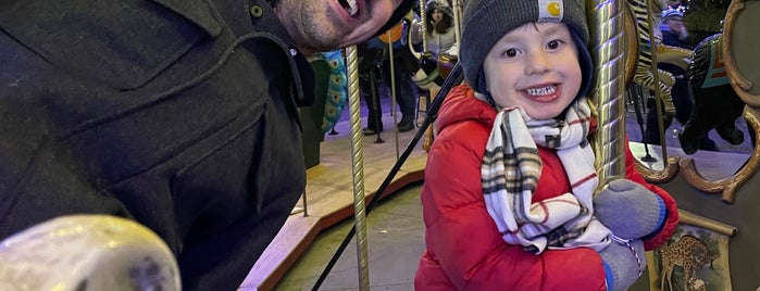 Carousel at Denver Zoo is one of fun.