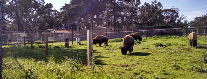 Bison Paddock is one of adrian & kj do sf 2014!.