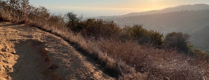 High Point is one of The 15 Best Places for Sunsets in Pacific Palisades, Los Angeles.