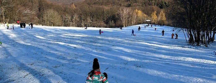 Cvičná lúka Koliba is one of Lutzka'nın Beğendiği Mekanlar.