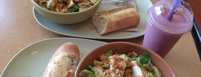 Panera Bread is one of Food.