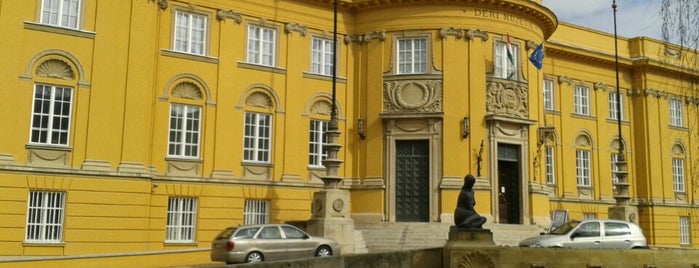 Déri Múzeum is one of สถานที่ที่บันทึกไว้ของ Ágnes.