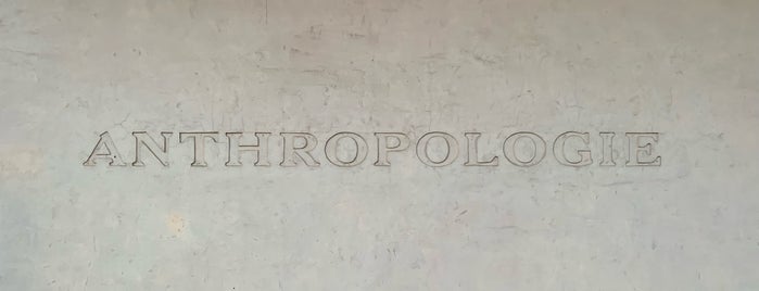 Anthropologie is one of The 7 Best Women's Stores in San Antonio.