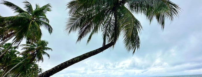 Praia do Patacho is one of Brasil - Nordeste.