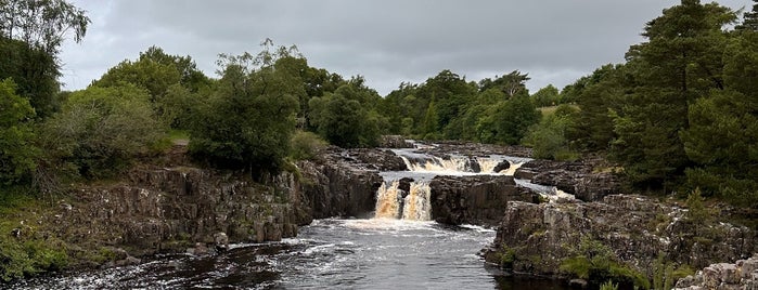 Low Force Waterfall is one of Carlさんのお気に入りスポット.