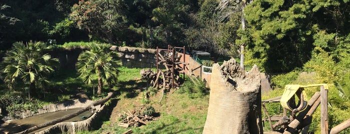 Sun Bear Exhibit is one of Ryan’s Liked Places.